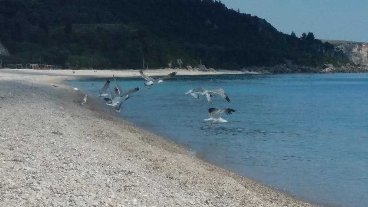 Irini Boutique Rooms!!! Himare Bagian luar foto